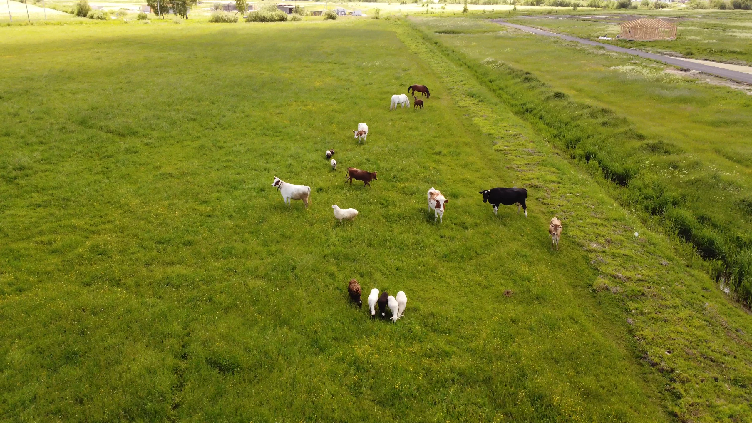 Процесс строительства - ATRIUM